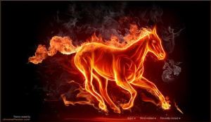 This horse is on fire!!